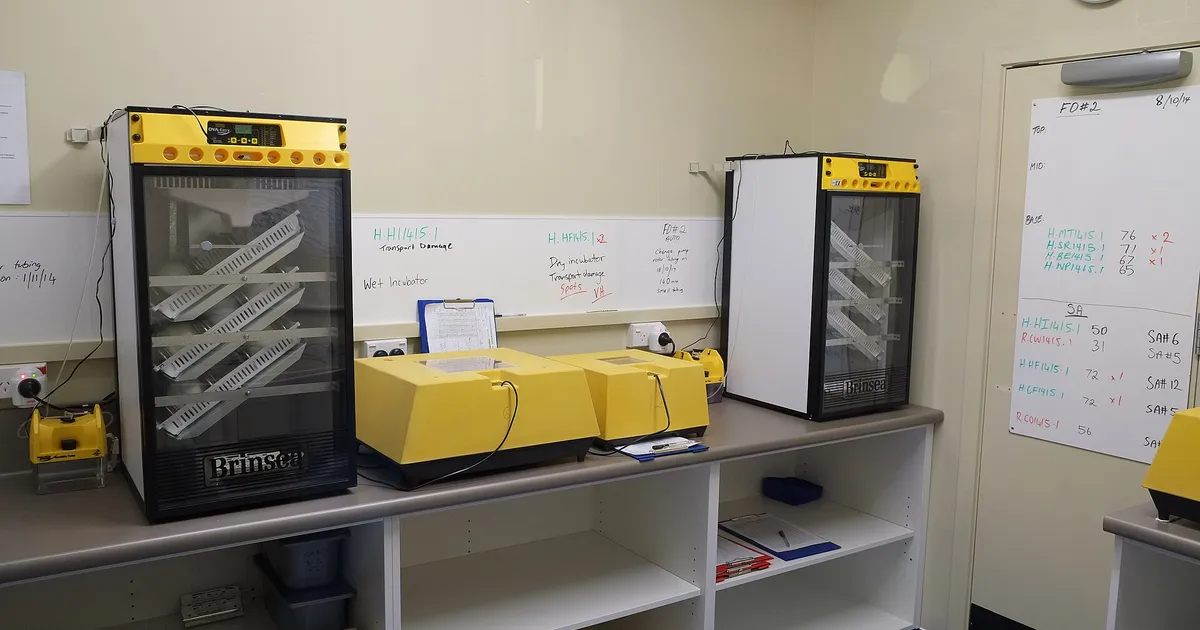 Incubateurs armoire
