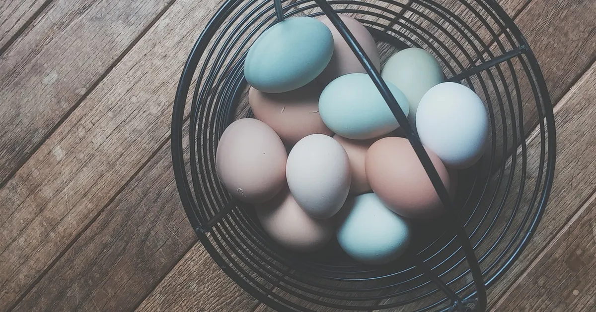 Œufs colorés dans un panier