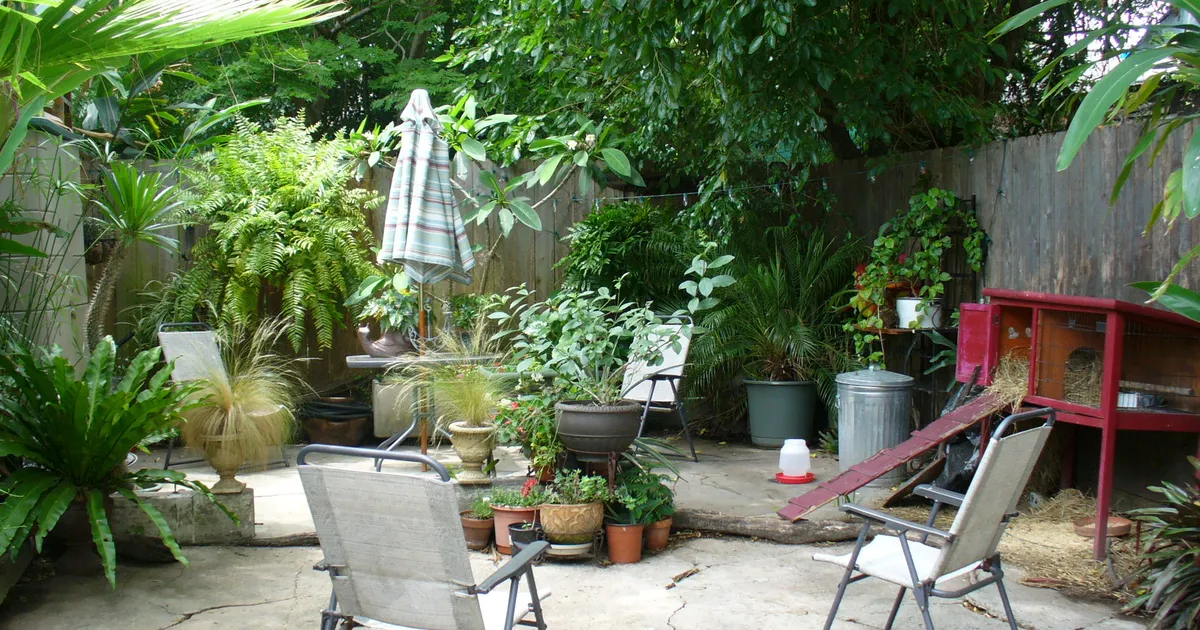 Poulailler de jardin