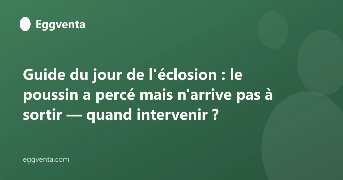 Guide du jour de l'éclosion : le poussin a percé mais n'arrive pas à sortir — quand intervenir ?
