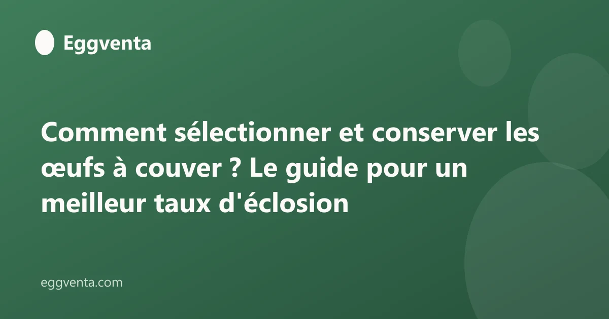 Comment sélectionner et conserver les œufs à couver ? Le guide pour un meilleur taux d'éclosion